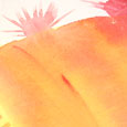 Burst