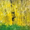 Yellow Birches